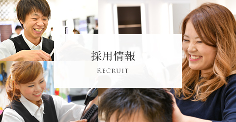 採用情報
